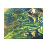 Brenda Jensen Photography - River Algae Tornado - Canvas Gallery Wraps
