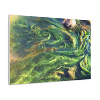 Brenda Jensen Photography - River Algae Tornado - Canvas Gallery Wraps