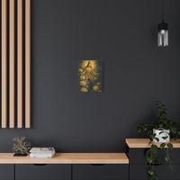 Atonka - 2025 09 30 D - gallery canvas wraps