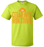 Cedar Wise Iron Strong - FOL Classic Unisex T-Shirt
