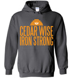 Cedar Wise Iron Strong - Gildan Heavy Blend Hoodie