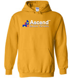 Ascend Behavior Partners - ABA Therapists Run On Data 02 -  Gildan Heavy Blend Hoodie