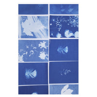 Prussian Bleu - Wrapping Paper