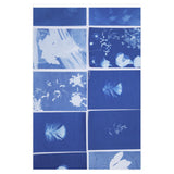 Prussian Bleu - Wrapping Paper