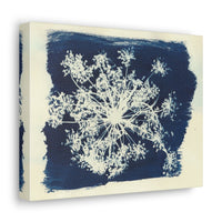 Hanna Rae, Prussian Bleu - Fireworks Flower Cyanotype - Canvas Gallery Wraps